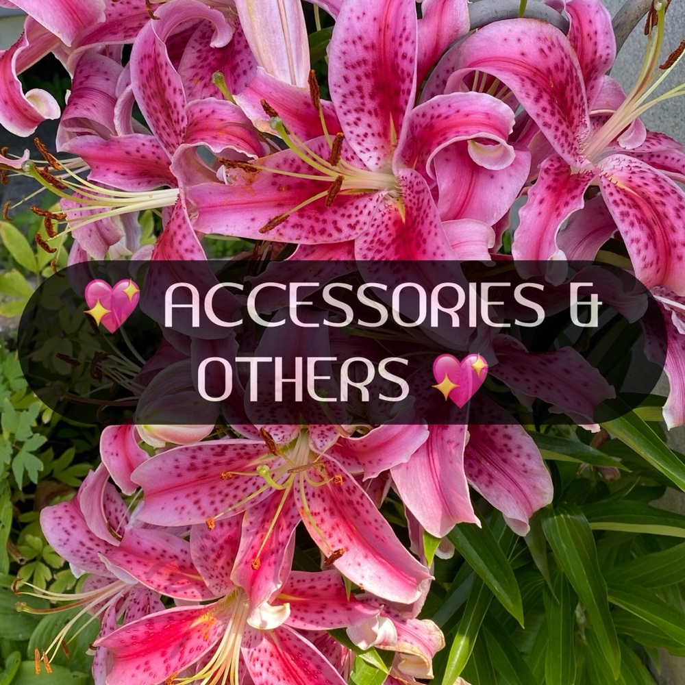 💖 Accessories & Others Category 💖